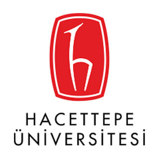 Hacettepe Üniversitesi Analiz Raporu