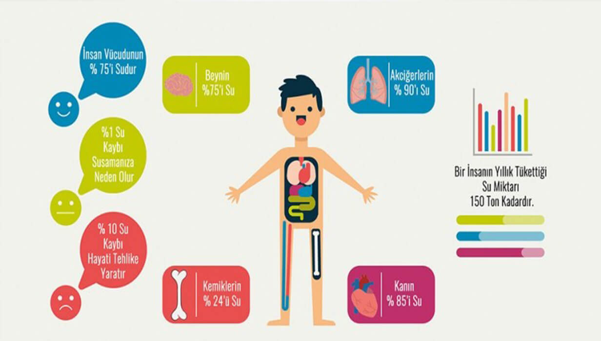  Mineralleri azaltır mı?